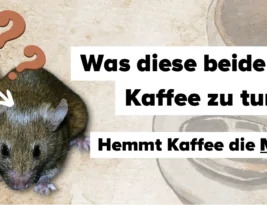 Hypomethylierer: Vorsicht vor Kaffee!