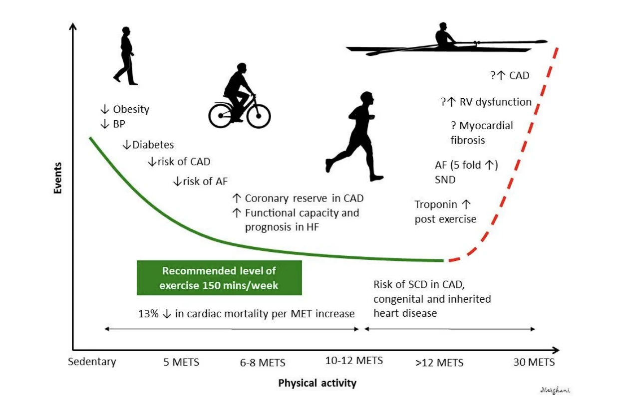 belastungen und risiken