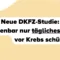 dkfz vitamin d studie