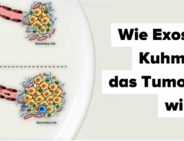 Neues von der Milch und Krebs