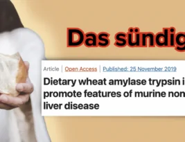 Neues altes Wissen zu Gluten