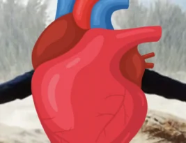 Essentielle Aminosäuren und das (kranke) Herz