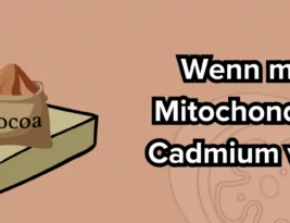 Fettverbrennung: Wenn die Falle zuschnappt