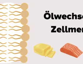 Ölwechsel für die Zellen