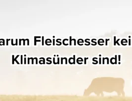 CO2: Wer rechnen kann…