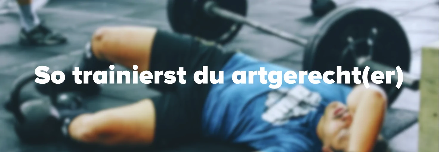 artgerecht blog