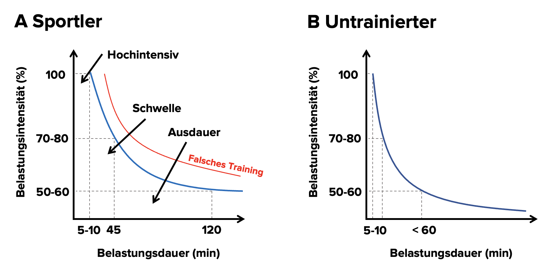 artgerechtes training artgerechtes training