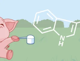 Tryptophan immer sympathischer