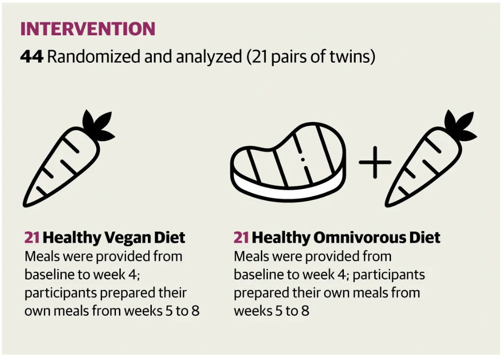 Das Studiendesign Das Studiendesign