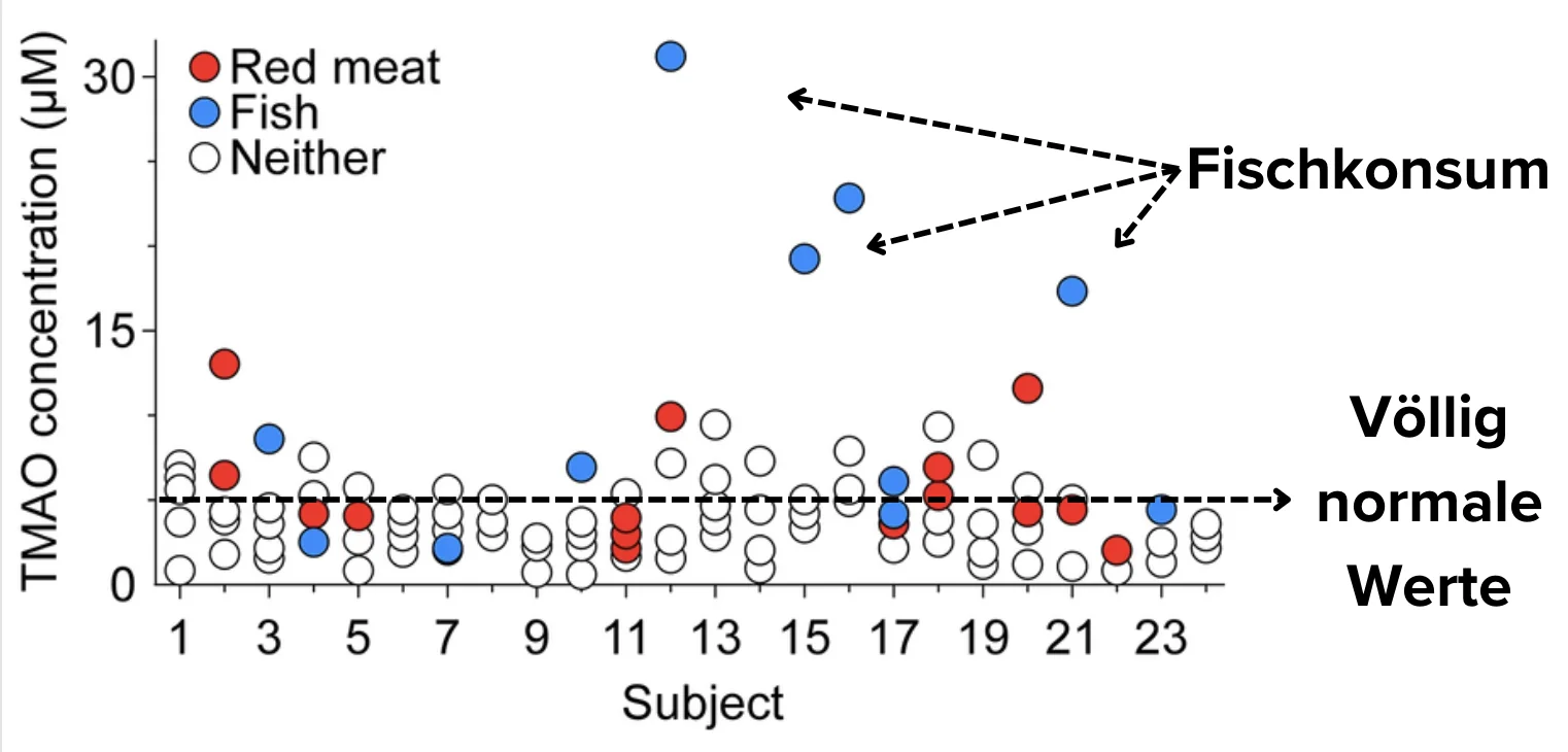 TMAO je Lebensmittel TMAO je Lebensmittel