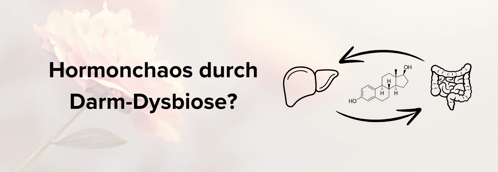 Hormonchaos durch Darmdysbiose