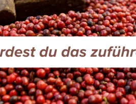 Würdest du diesen Stoff konsumieren?
