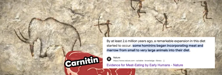 carnitin fleisch heilt