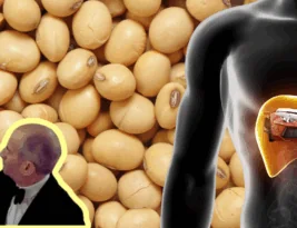 Gesund ungesund – und umgekehrt?