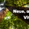 vitamin l und n