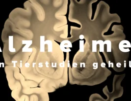 Alzheimer besiegt