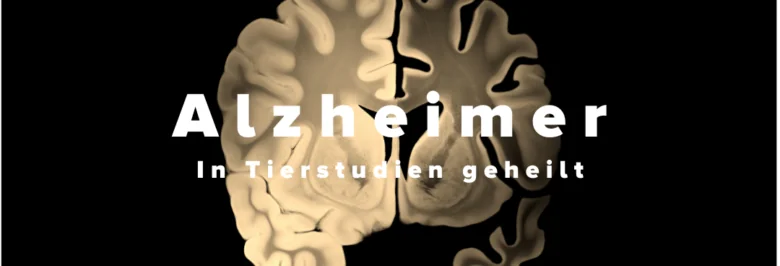 Alzheimer geheilt