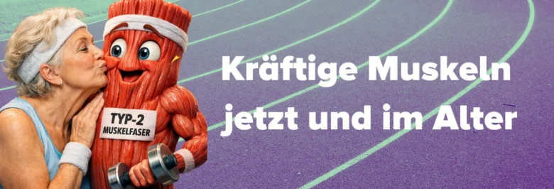 Typ 2 Fasern im Alter