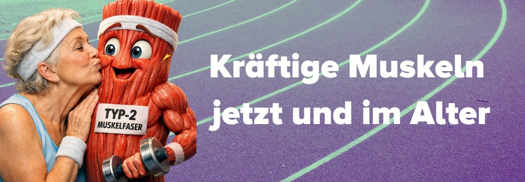 Typ 2 Fasern im Alter