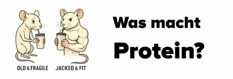 protein ist leben