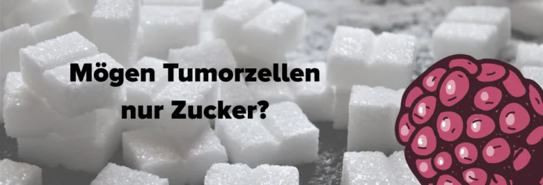Krebs und Zucker