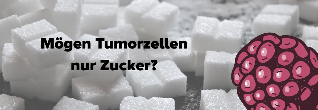 Krebs und Zucker